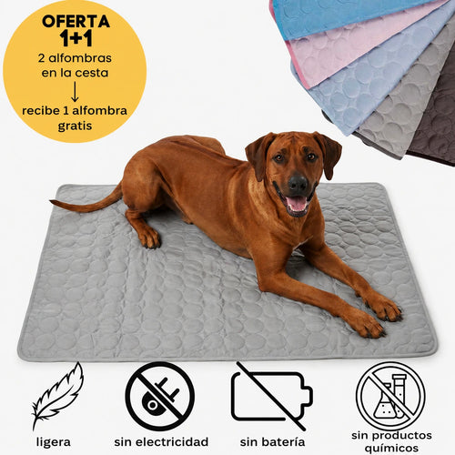 Alfombra Refrescante para el Verano | PROMOCIÓN 2x1