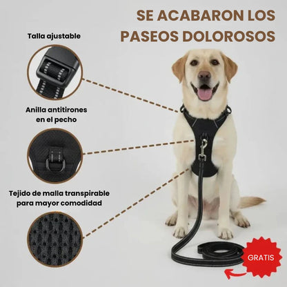 Arnés antitirones