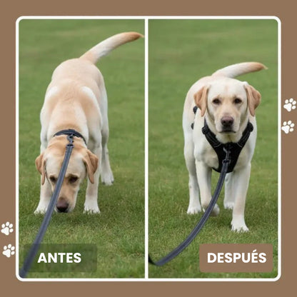 Arnés antitirones