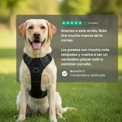 Arnés antitirones