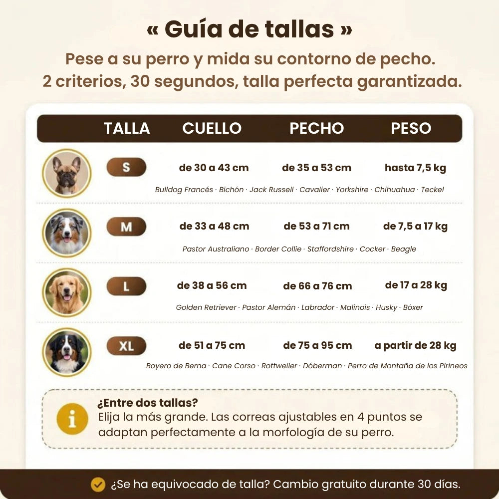 Arnés antitirones