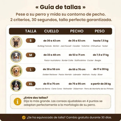 Arnés antitirones
